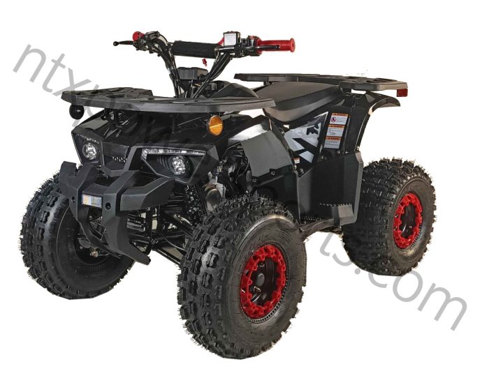 125cc Youth ATV 4-stroke 1-cylinder JUST ARRIVED 2025 - Image 9