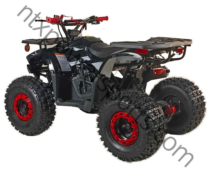 125cc Youth ATV 4-stroke 1-cylinder JUST ARRIVED 2025 - Image 6