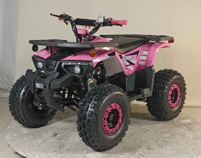 125cc Youth ATV 4-stroke 1-cylinder JUST ARRIVED 2025 - Image 4